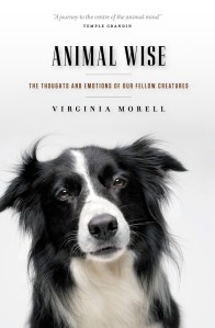 Animal Wise cover