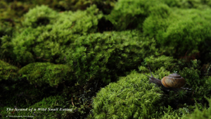 _FINALScreen_Saver_ETB_5_copy