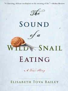 sound_of_a_wild_snail_eating-1