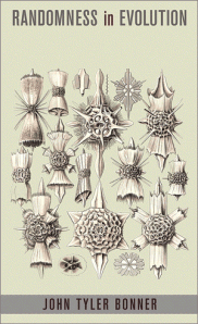 RandomnesinEvolution