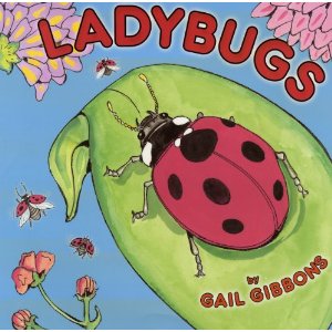 ladybugs
