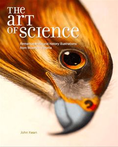 ArtOfScience