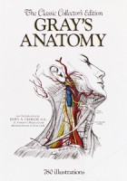 graysanatomy