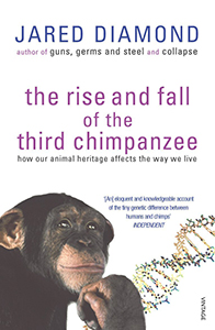rise-and-fall-third-ape