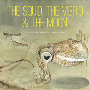 squid-vibrio-moon