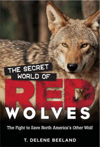 secret-world-of-red-wolves