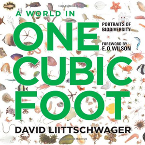 world-in-one-cubic-foot