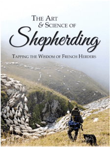 art-and-science-of-shepherding