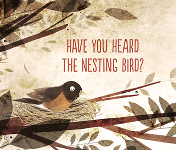 have-you-heard-the-nesting-bird