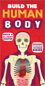 build-the-human-body