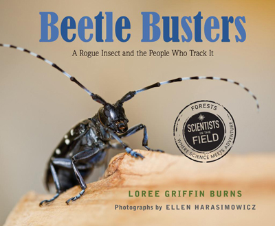 beetle-busters