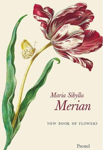 maria-sibylla-merian