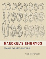 haeckels-embryos
