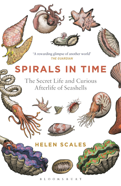 spirals-in-time