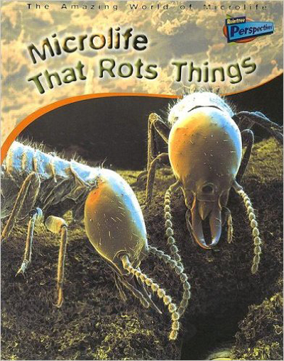 microlife-that-rots-things