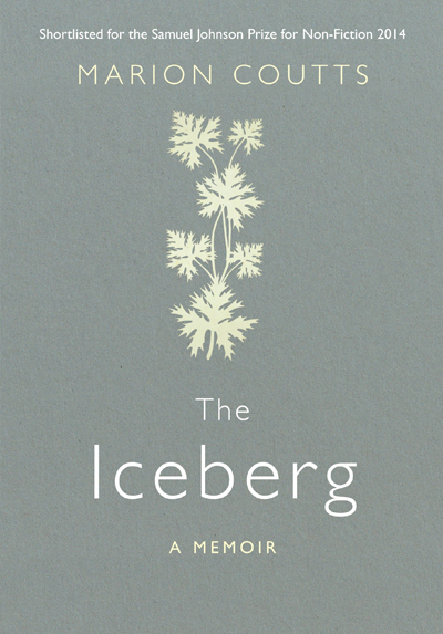 the-iceberg