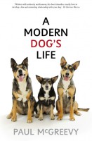 a-modern-dogs-life