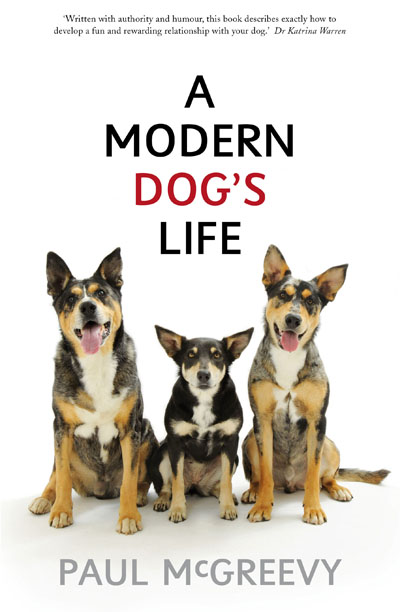 a-modern-dogs-life