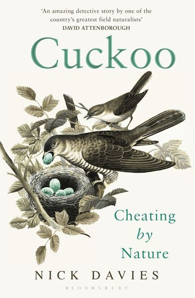 cuckoo