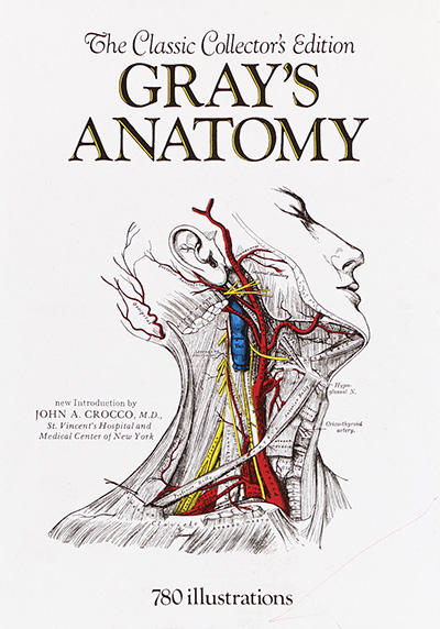 grays-anatomy-400