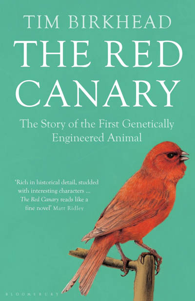 red-canary