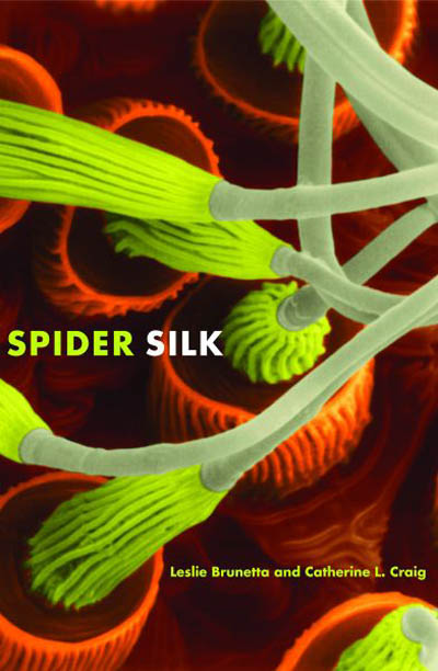 spider-silk
