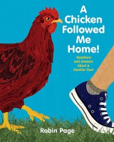 a-chicken-followed-me-home