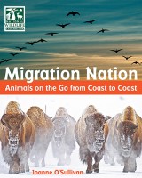 migration-nation