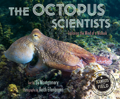 octopus-scientists