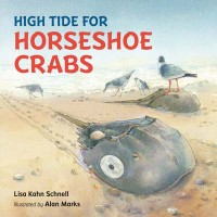 high-tide-for-horseshoe-crabs