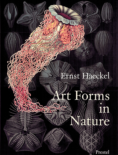 Art Forms in Nature von Olaf Breidbach