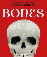 bones
