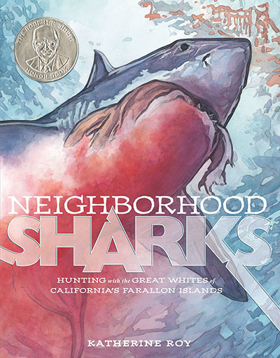 neighborhood-sharks