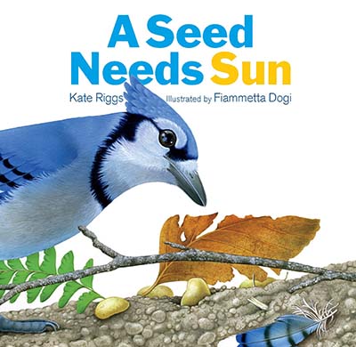 a-seed-needs-sun