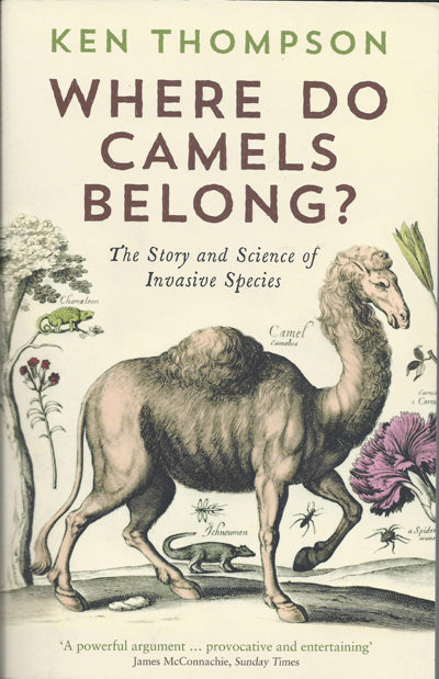 where-do-camels-belong