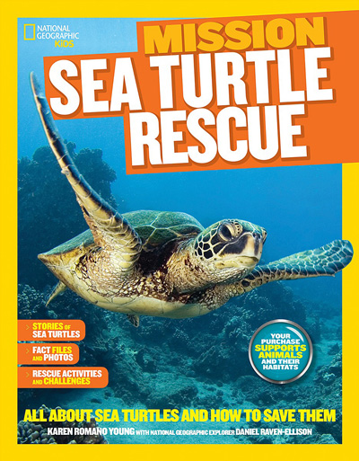 sea-turtle-rescue