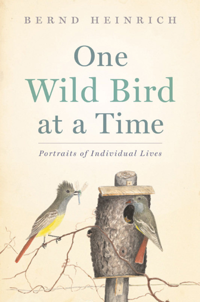 BK-ARRIVALS-ANIMALS-JUNE5 One Wild Bird at a Time: Portraits of Individual Birds, Bernd Heinrich, Houghton Mifflin Harcourt. Uploaded by: Dundas, Deborah