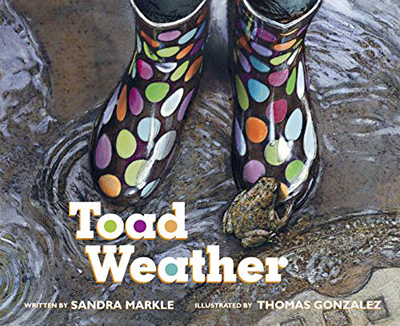 toad-weather