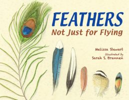 feathers-not-just-for-flying