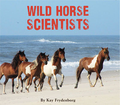 wild-horse-scientists