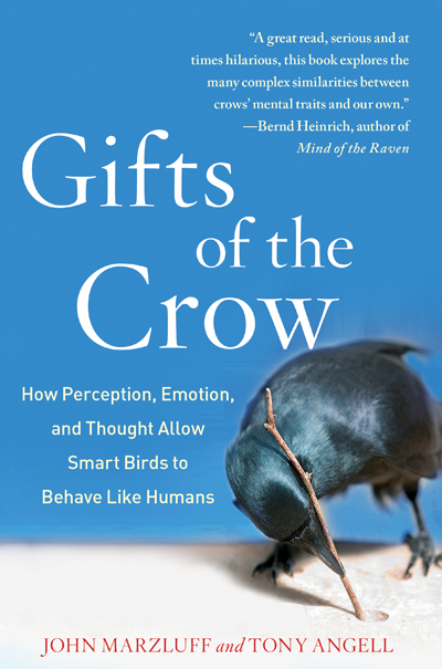 gifts-of-the-crow-400