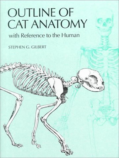 outline-of-cat-anatomy