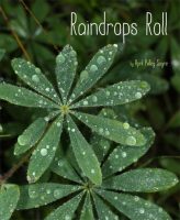 raindrops-roll