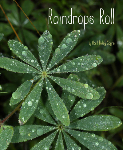 raindrops-roll