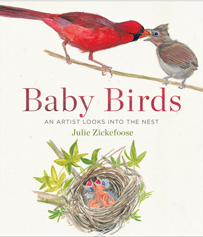 baby-birds