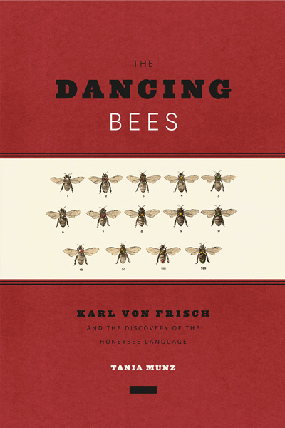 dancing-bees